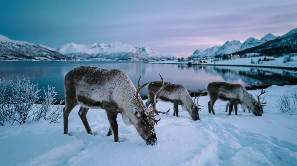 Polarlichter in Norwegen – Weitere Ziele in Norwegen